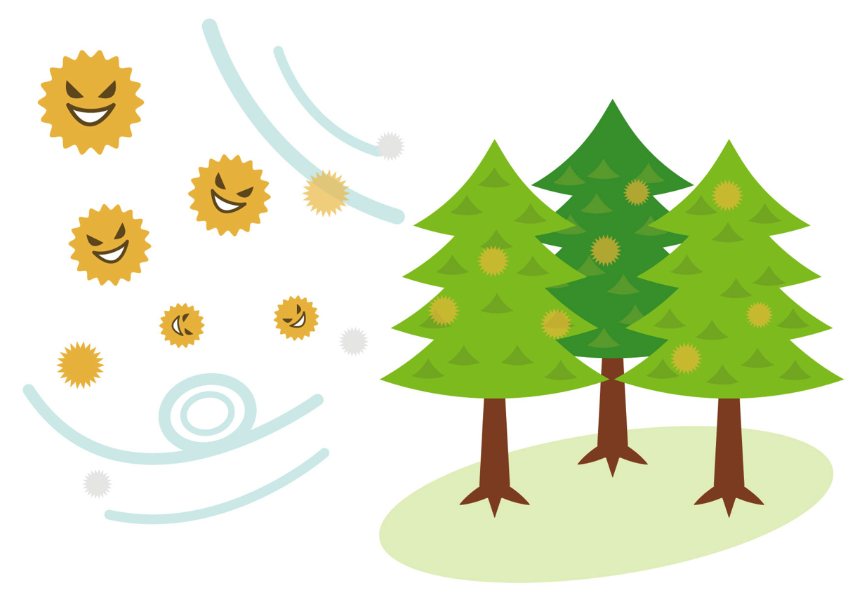 2022年の花粉飛散傾向