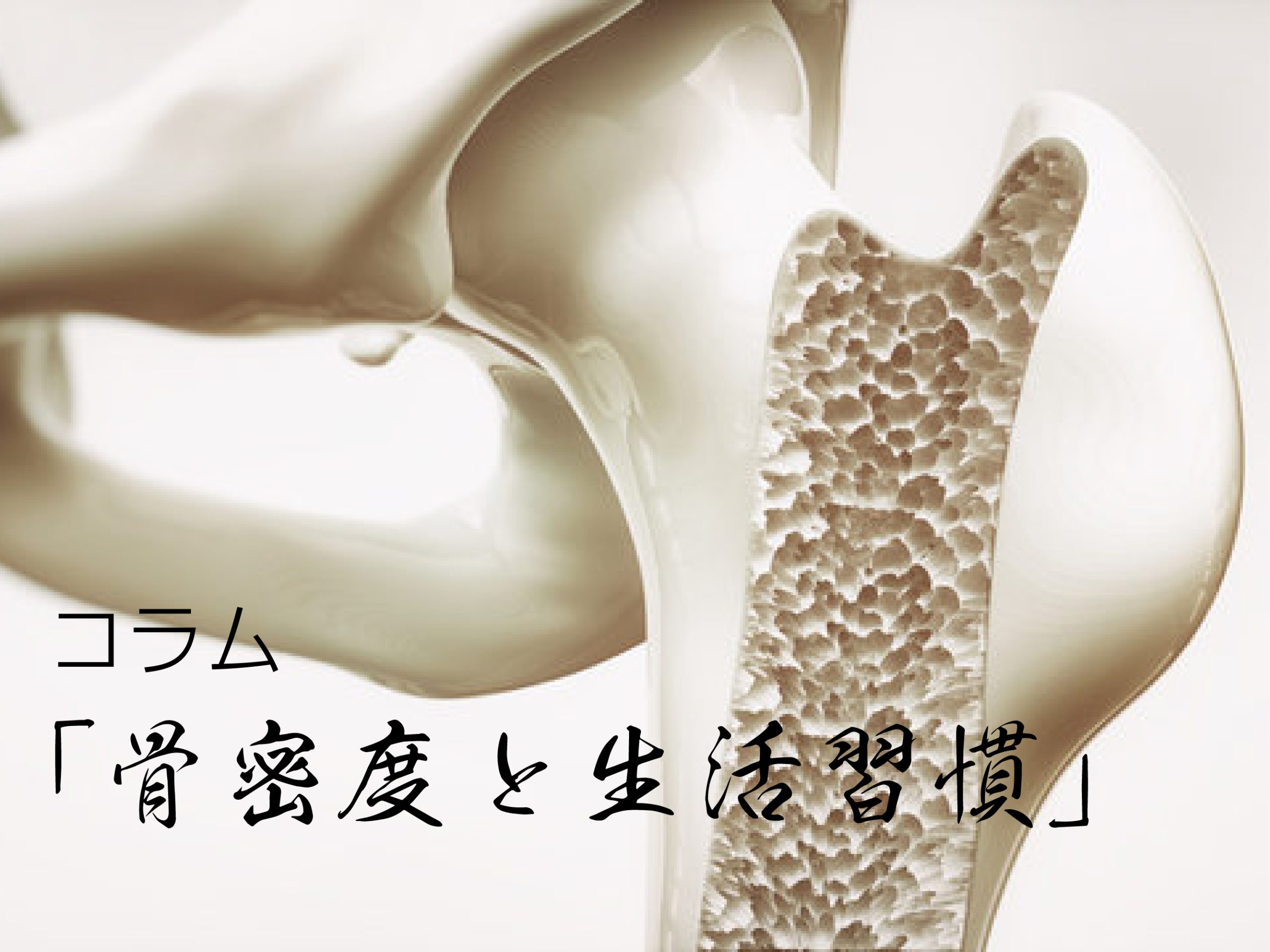 コラム「骨密度と生活習慣」