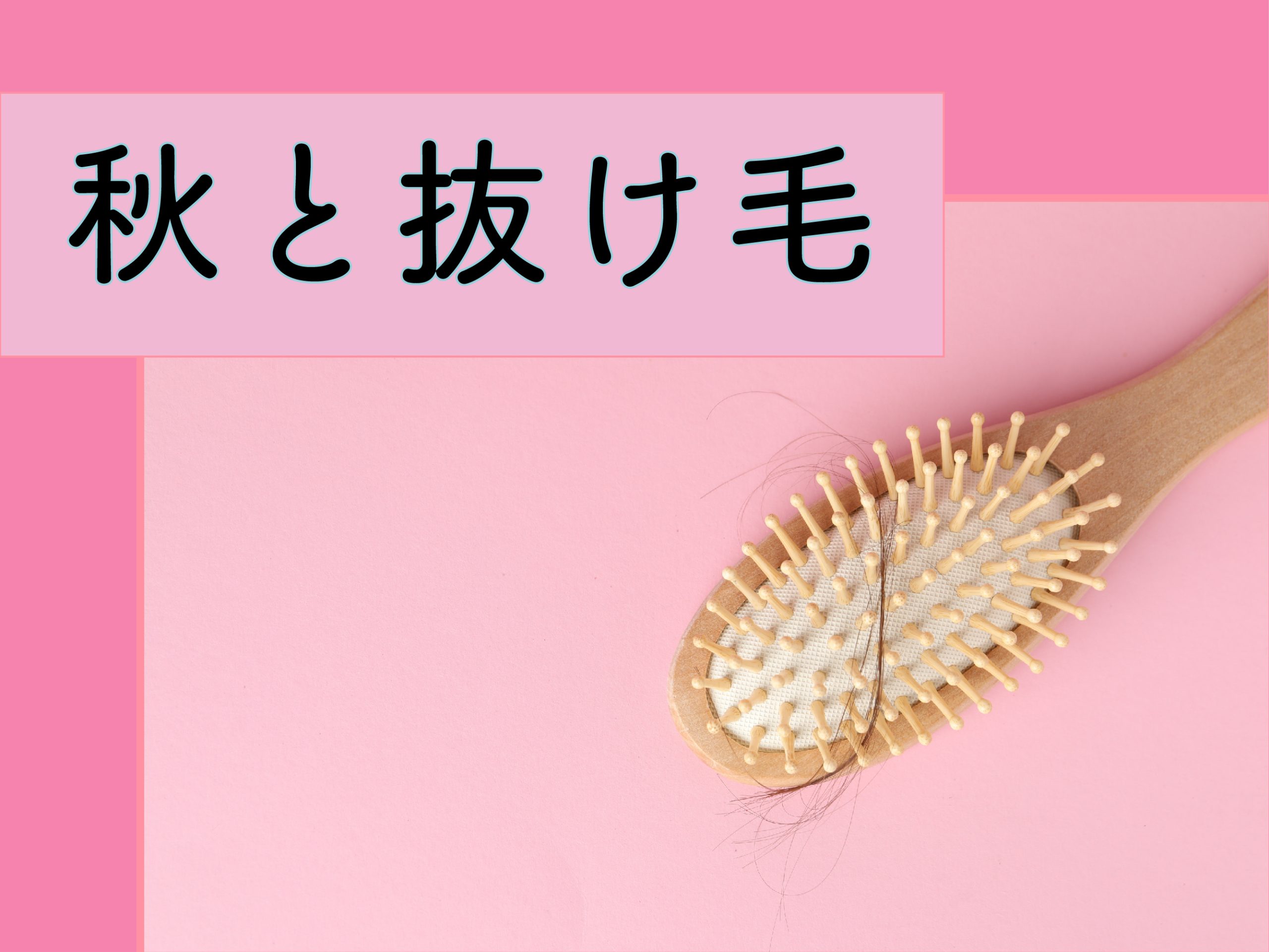 秋と抜け毛